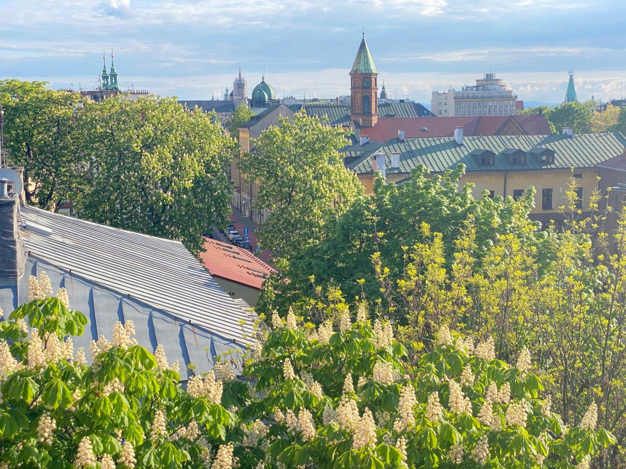 Angel Mint Apartment - Free Parking - Balcony Krakkó Kültér fotó